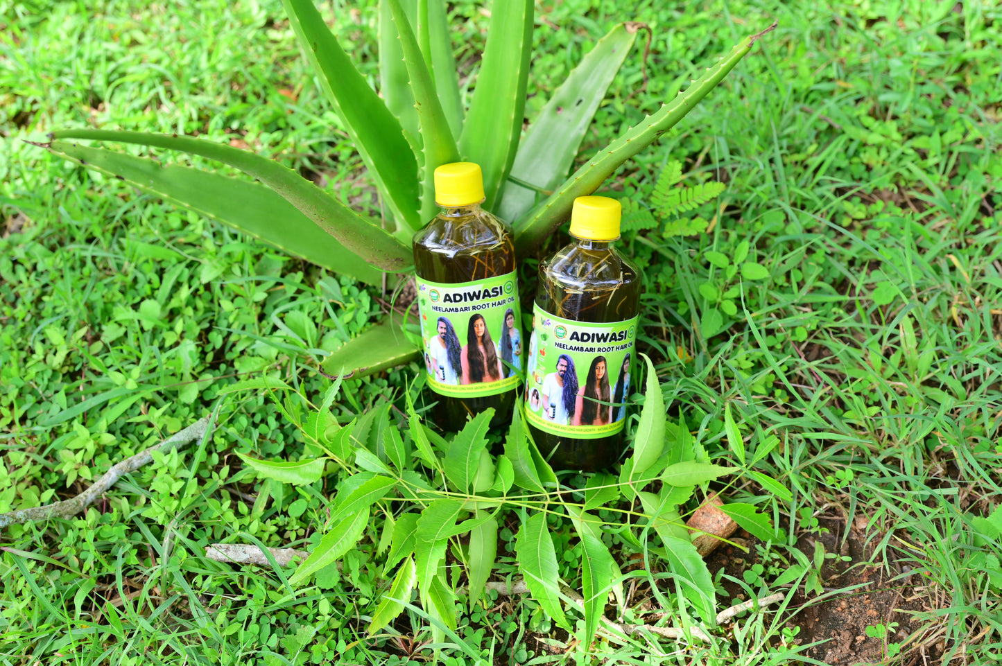 Adiwasi Root Hair Oil