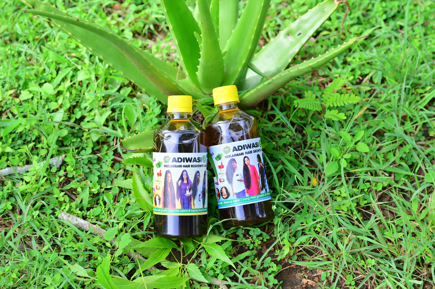 Adiwasi Root Hair Oil